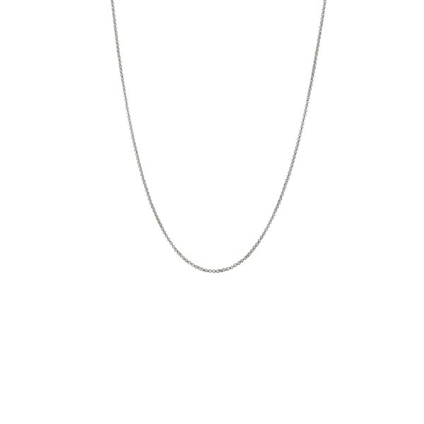 12X01-00098 Αλυσίδα Ασημένια 40-50 cm
