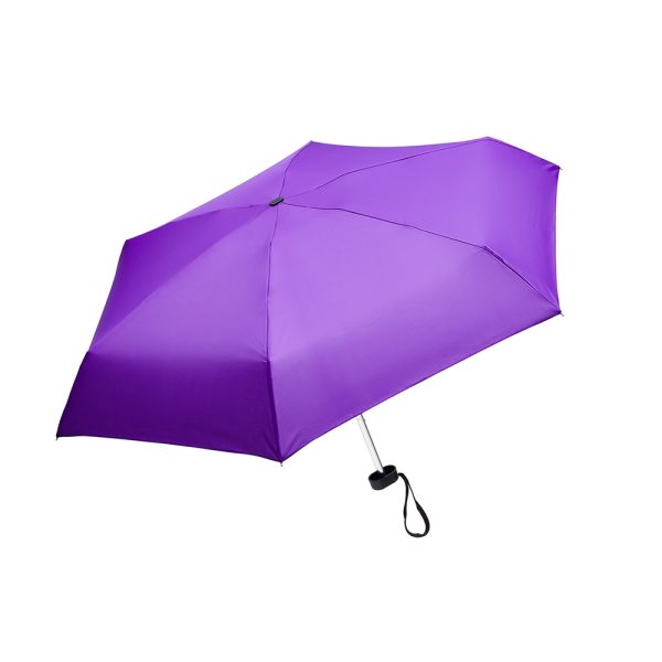 Split purple rain umbrella with case