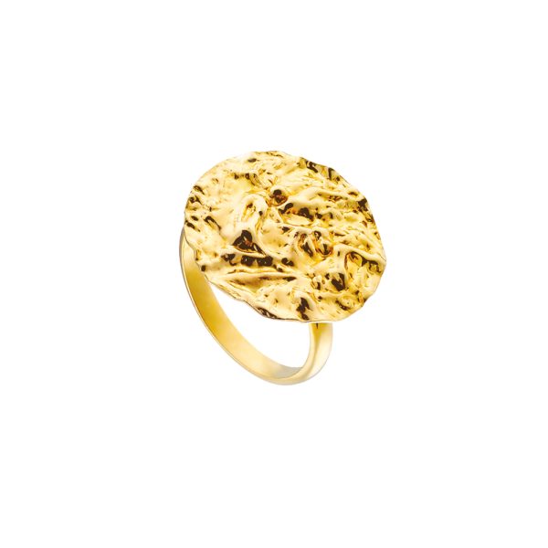 Earth silver gold-plated ring with round element