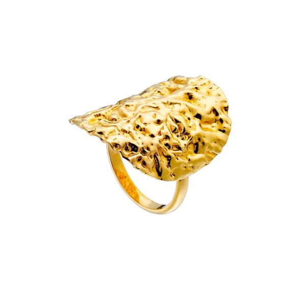 Earth silver gold-plated ring with oval element