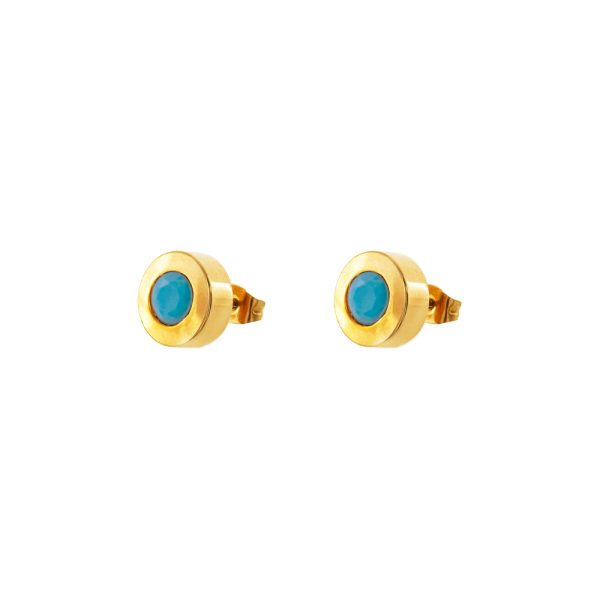 Extravaganza steel gold plated earrings with turquoise stone